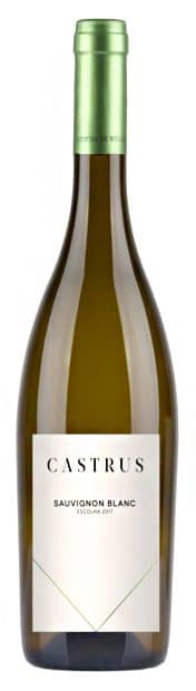 Castrus Sauvignon Blanc