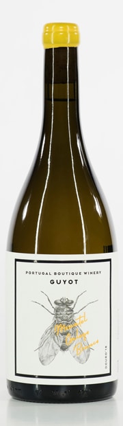 Guyot Moscatel Galego