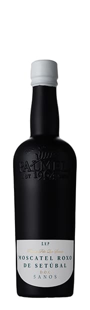 SVP Moscatel Roxo de Setúbal 5 Anos