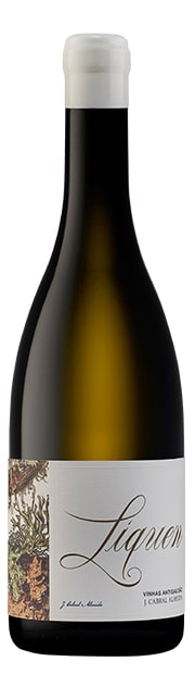 Líquen Vinhas Antigas